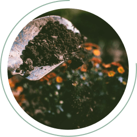 Substratos e fertilizantes